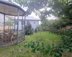 Həyət evi kirayə verilir, Qəbələ r