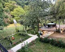 Həyət evi kirayə verilir, Qəbələ r