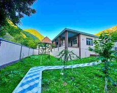 Həyət evi kirayə verilir, Qax r