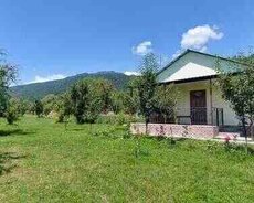 Həyət evi kirayə verilir, Qəbələ ş