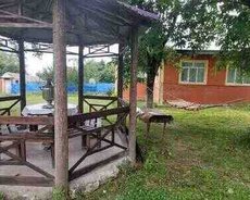 Həyət evi kirayə verilir, Qəbələ ş