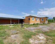 Həyət evi kirayə verilir, Qəbələ r