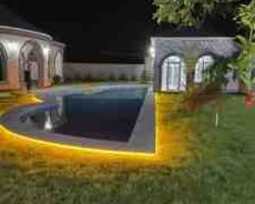 Bağ evi kirayə verilir, Pirşağı qəs