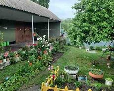 Həyət evi kirayə verilir, Qəbələ r