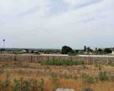 8.5 sot torpaq sahəsi, Nardaran qəs