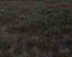 27 sot torpaq sahəsi, Türkan qəs