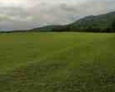 169 sot torpaq sahəsi, İsmayıllı r