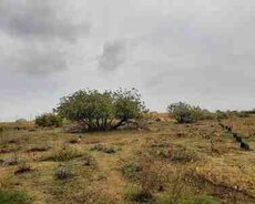 25 sot torpaq sahəsi, Kürdəxanı qəs