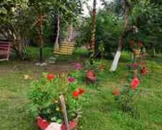 Həyət evi kirayə verilir, Qəbələ r