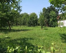 Ismayilli rayon buynuz kend