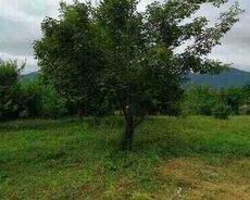 30 sot torpaq sahəsi, Qəbələ r