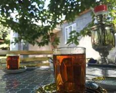 Həyət evi kirayə verilir, Zaqatala r
