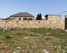 8 sot torpaq sahəsi, Qobu qəs