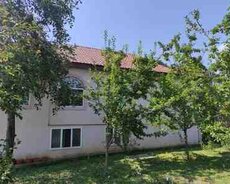 Bağ evi kirayə verilir, Qəbələ şəh