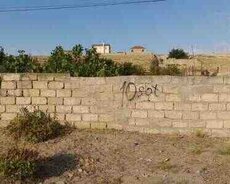 10 sot torpaq sahəsi, Qurd qəs