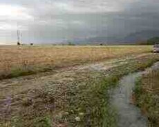 140 sot torpaq sahəsi, İsmayıllı r