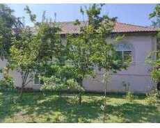 Bağ evi kirayə verilir, Vəndam qəs