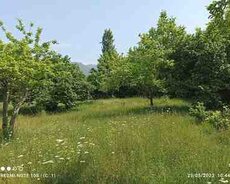 15 sot torpaq sahəsi, Qəbələ r