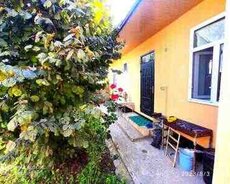 Bağ evi kirayə verilir, İsmayıllı r
