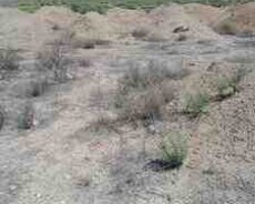 25 sot torpaq sahəsi, Goranboy r