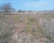 25 sot torpaq sahəsi, Ləhiş bağları