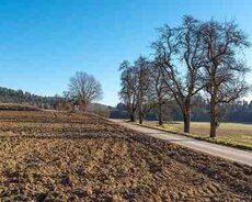 4.2 sot torpaq sahəsi, Qobu qəs