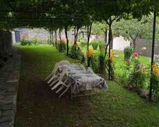Həyət evi kirayə verilir, Qax r
