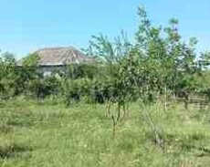 60 sot torpaq sahəsi, Nohurqışlaq kəndi