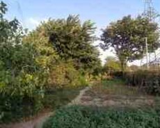 8 sot torpaq sahəsi, Sumqayıt ş