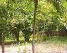 8 sot torpaq sahəsi, Salyan r