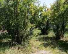 6 sot torpaq sahəsi, İsmayıllı r