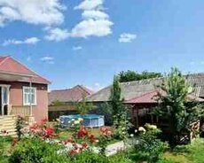 Bağ evi kirayə verilir, Qəbələ ş