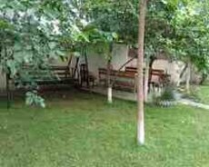 Həyət evi kirayə verilir, Qəbələ r