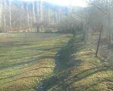 26 sot torpaq sahəsi, Şamaxı ş