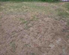 330 sot torpaq sahəsi, Qusar r