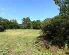 7 sot torpaq sahəsi, Qəbələ ş