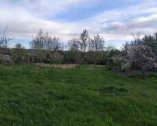 25 sot torpaq sahəsi, İsmayıllı r