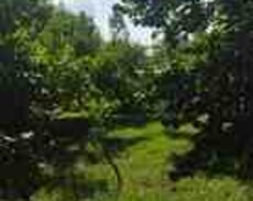 54 sot torpaq sahəsi, Qəbələ r