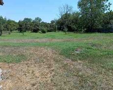 15 sot torpaq sahəsi, Qəbələ ş