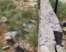 10 sot torpaq sahəsi, Binə qəs