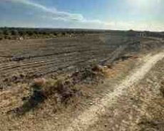 46 sot torpaq sahəsi, Məmmədli qəs