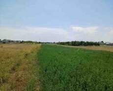 40 sot torpaq sahəsi, Bərdə rayonu