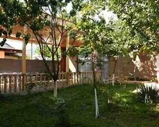 Həyət evi kirayə verilir, Qəbələ r