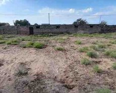 20 sot torpaq sahəsi, Türkan qəs