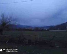 12 sot torpaq sahəsi, Zaqatala ş