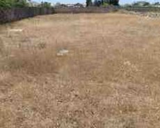 11 sot torpaq sahəsi, Buzovna qəs