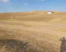 12 sot torpaq sahəsi, Qazax r