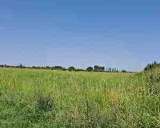 178 sot torpaq sahəsi, Quba r