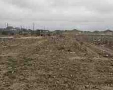 4 sot torpaq sahəsi, Binə qəs