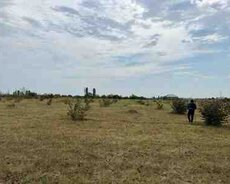 150 sot torpaq sahəsi, Qəbələ ş